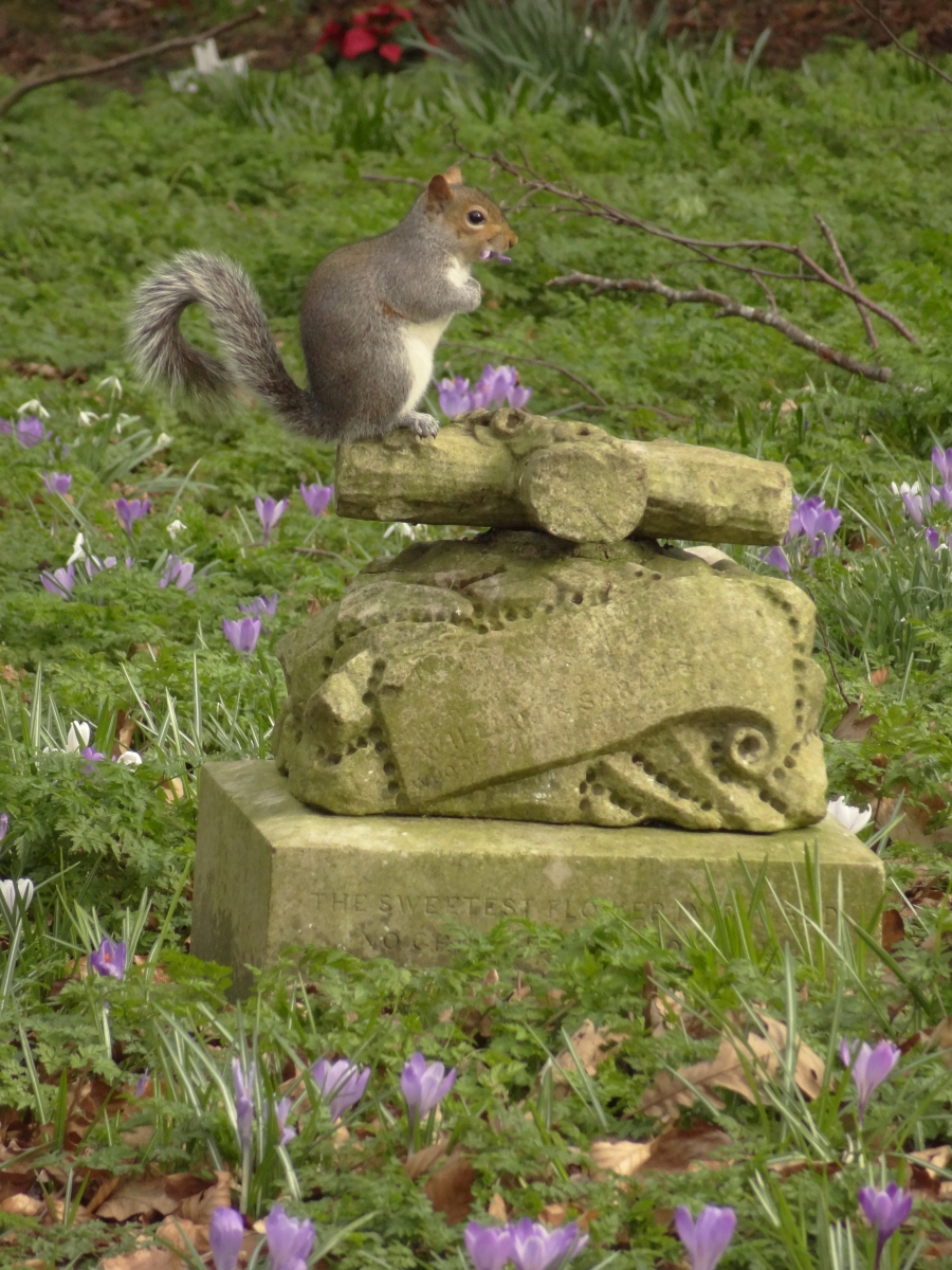 Wildllife Friends of Earlham Cemetery, Norwich